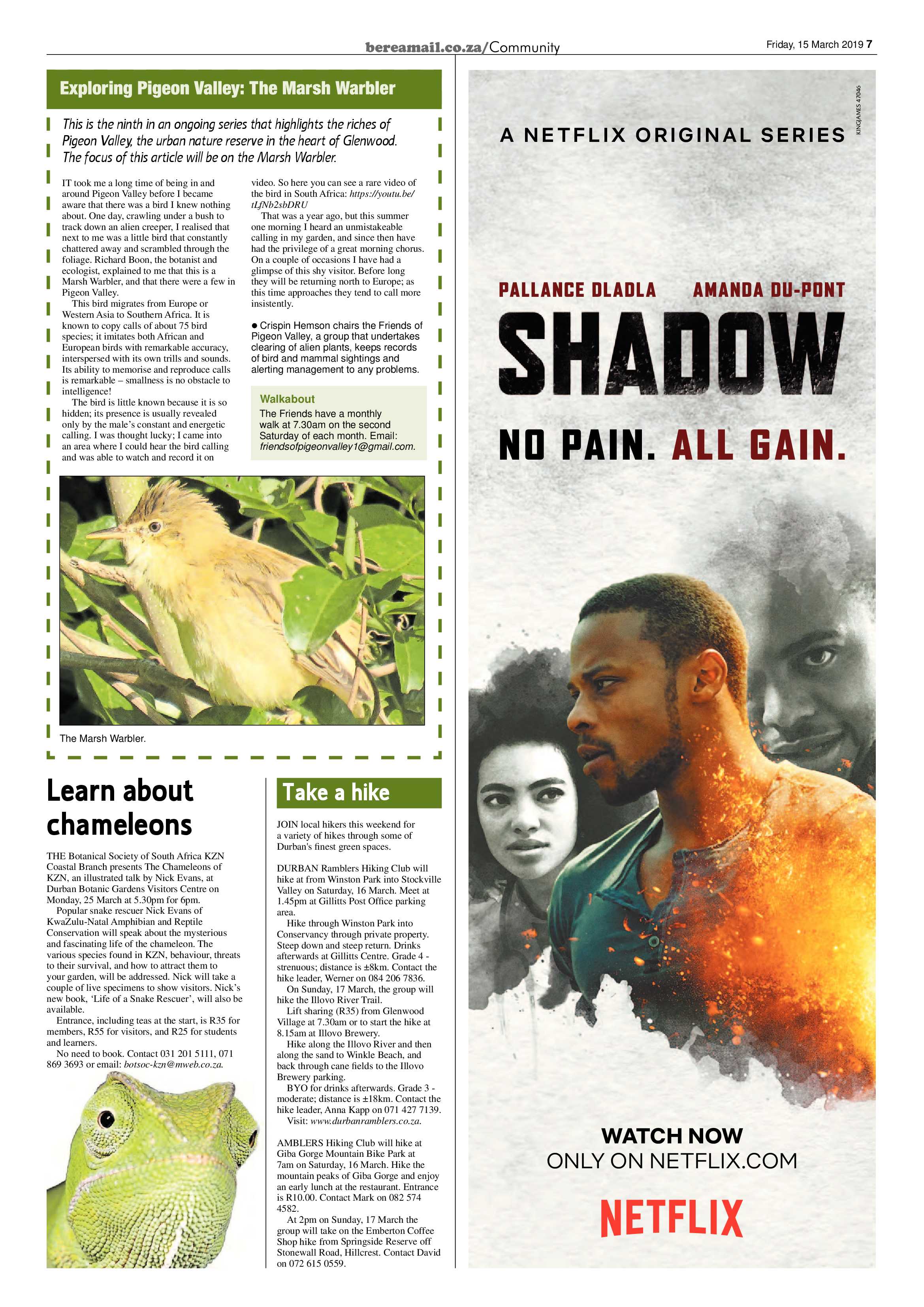 Berea Mail 15 March 2019 page 7