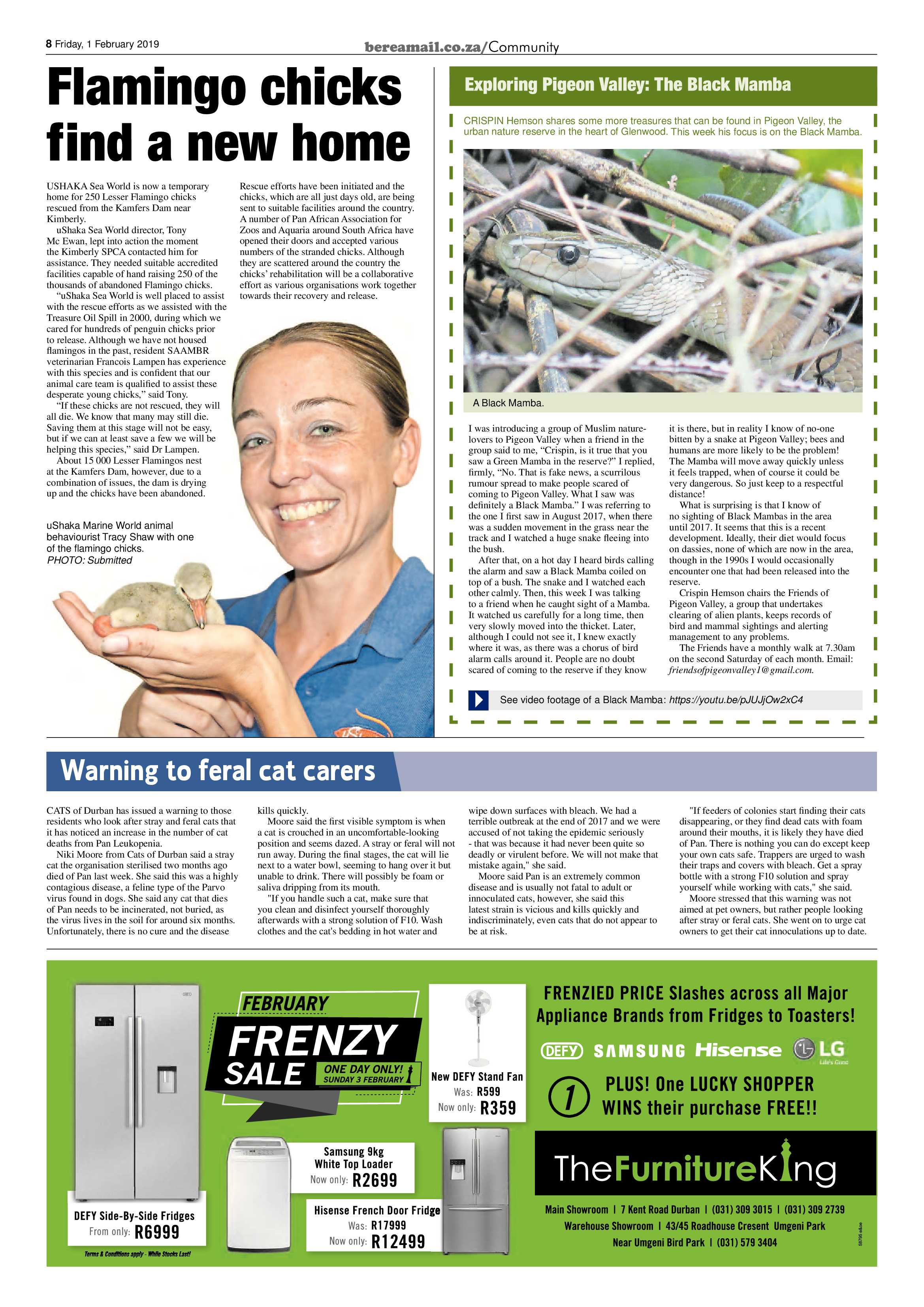 Berea Mail 1 February 2019 page 8