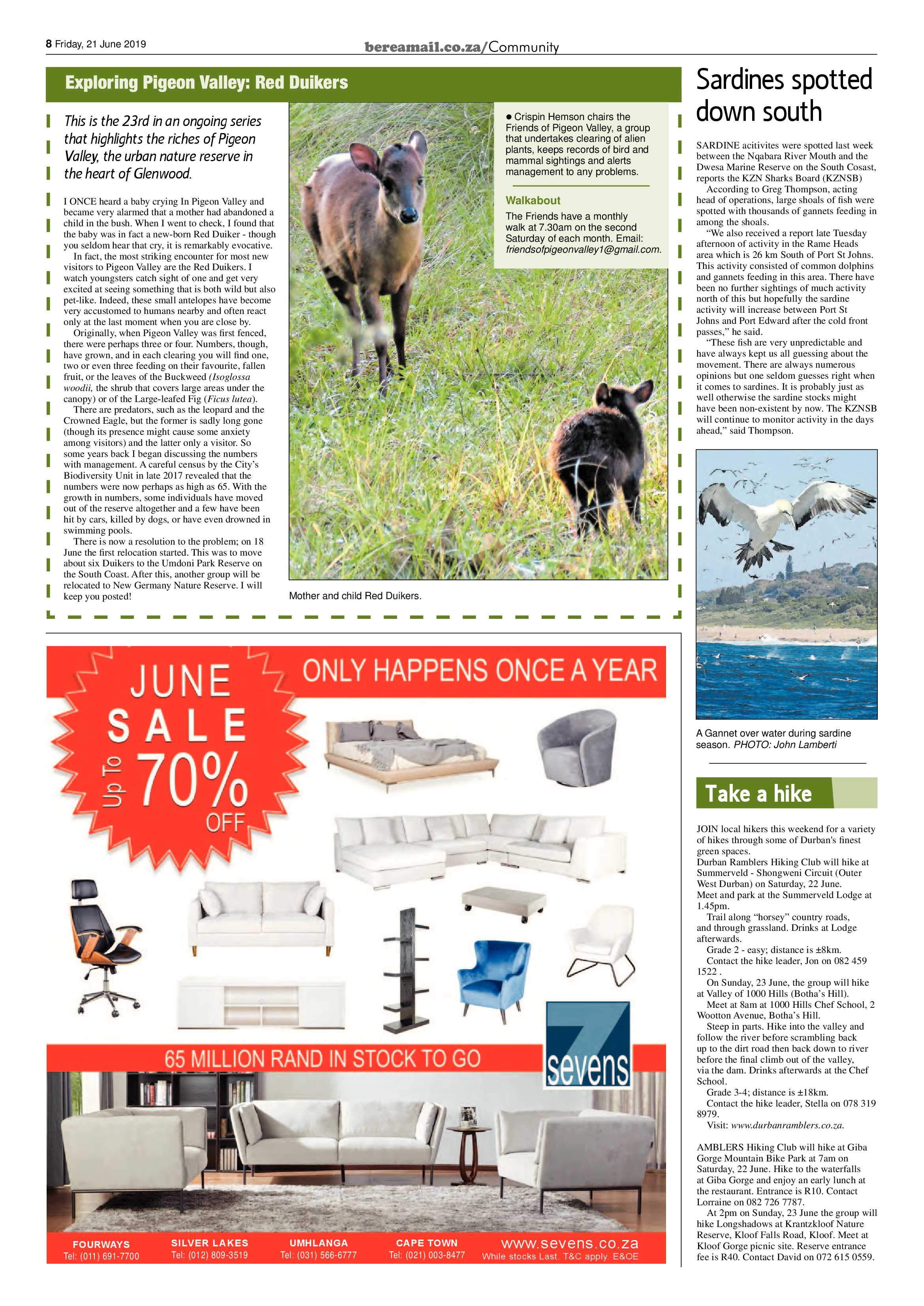 Berea Mail 21 June 2019 page 8