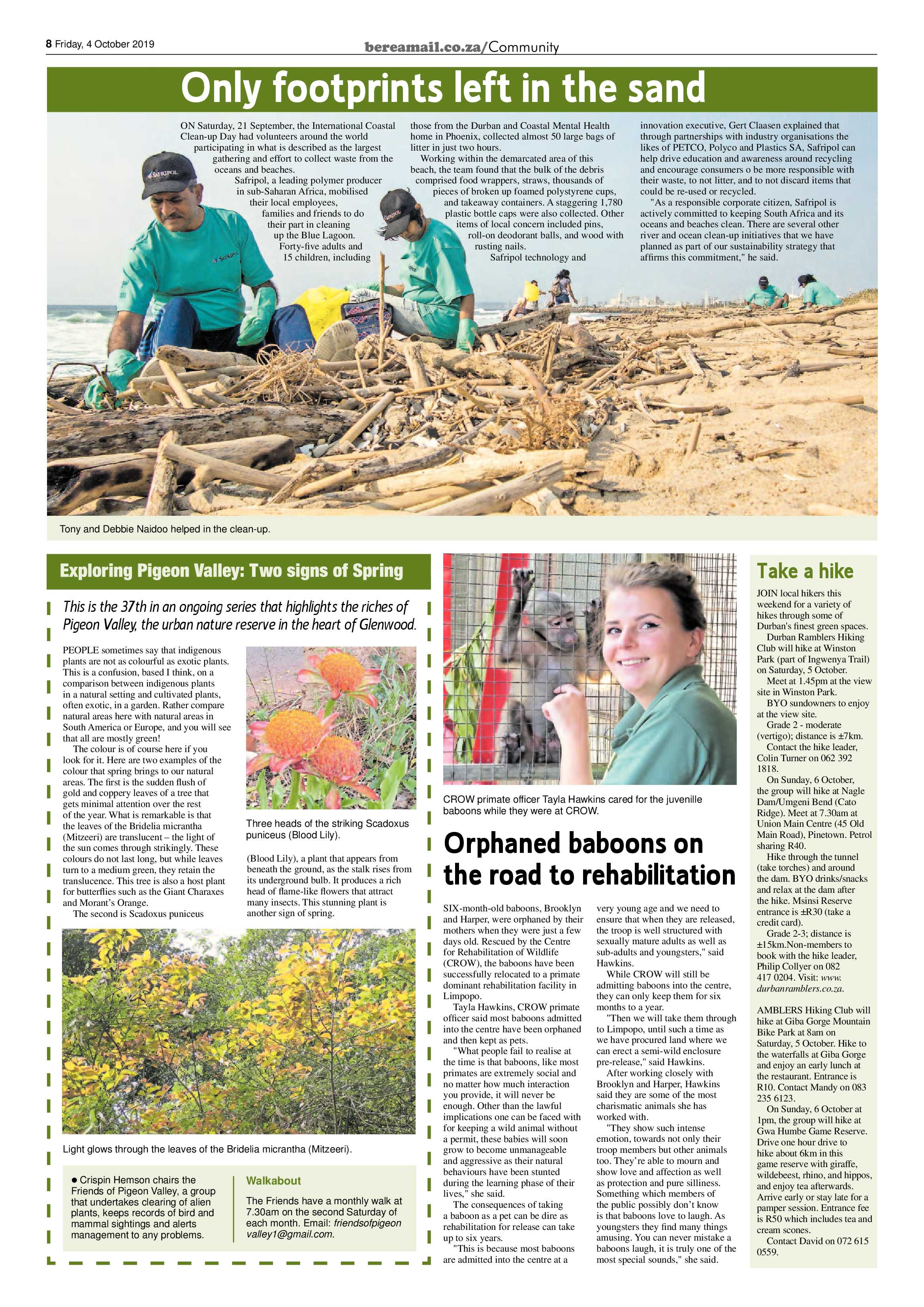Berea Mail 4 October 2019 page 8
