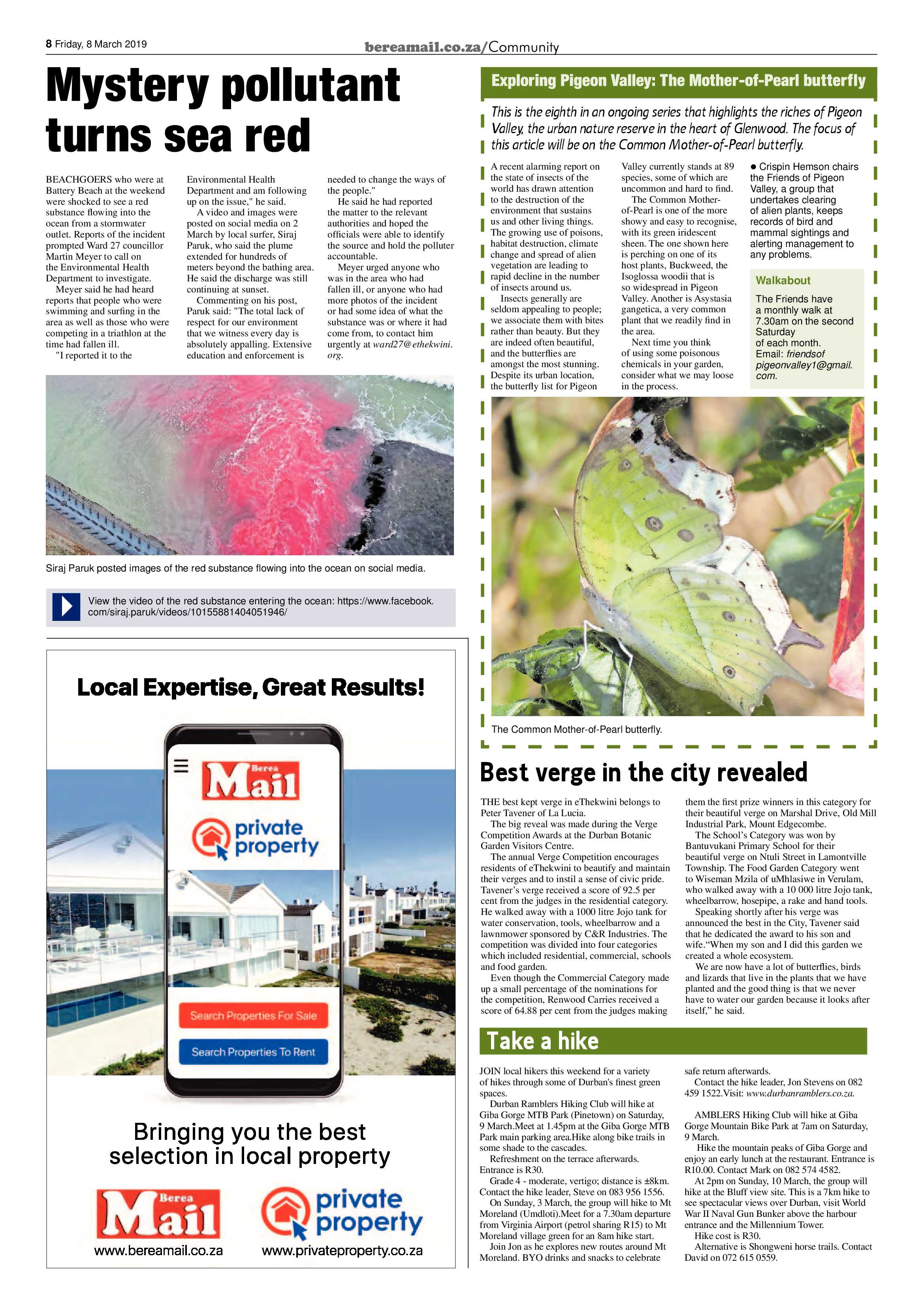 Berea Mail 8 March 2019 page 8