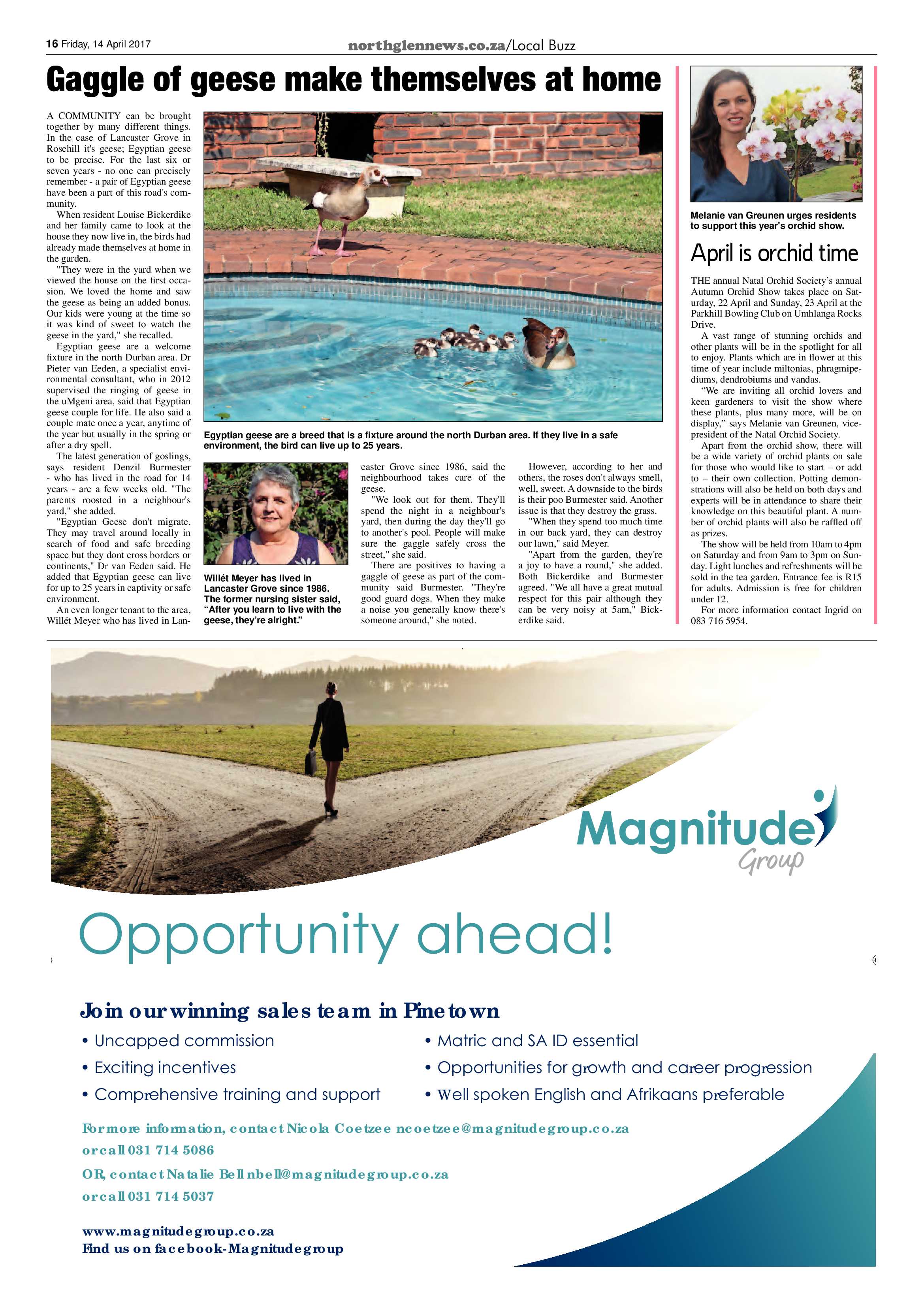 Northglen News 14 April 2017 page 16