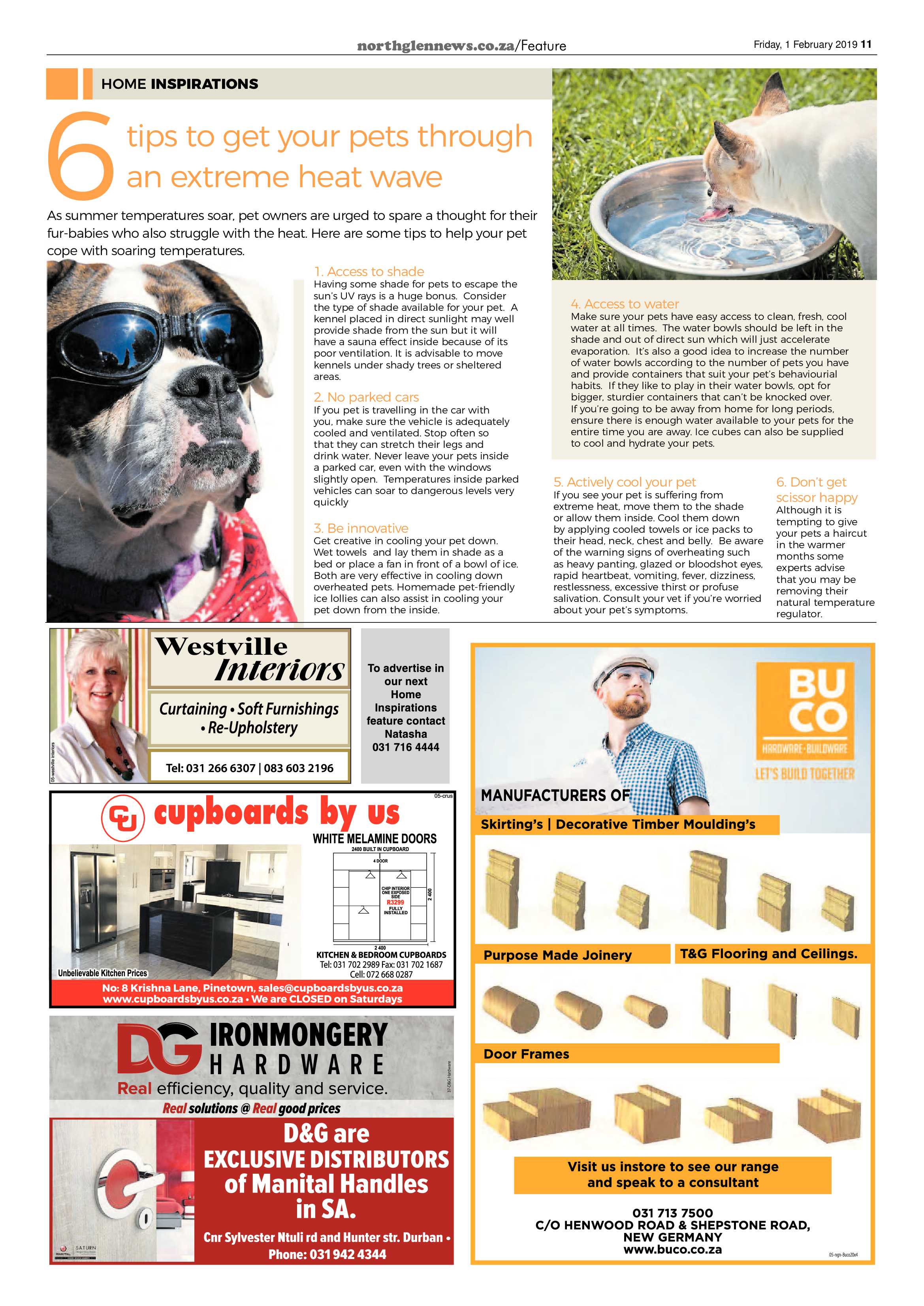 Northglen News 1 February 2019 page 11