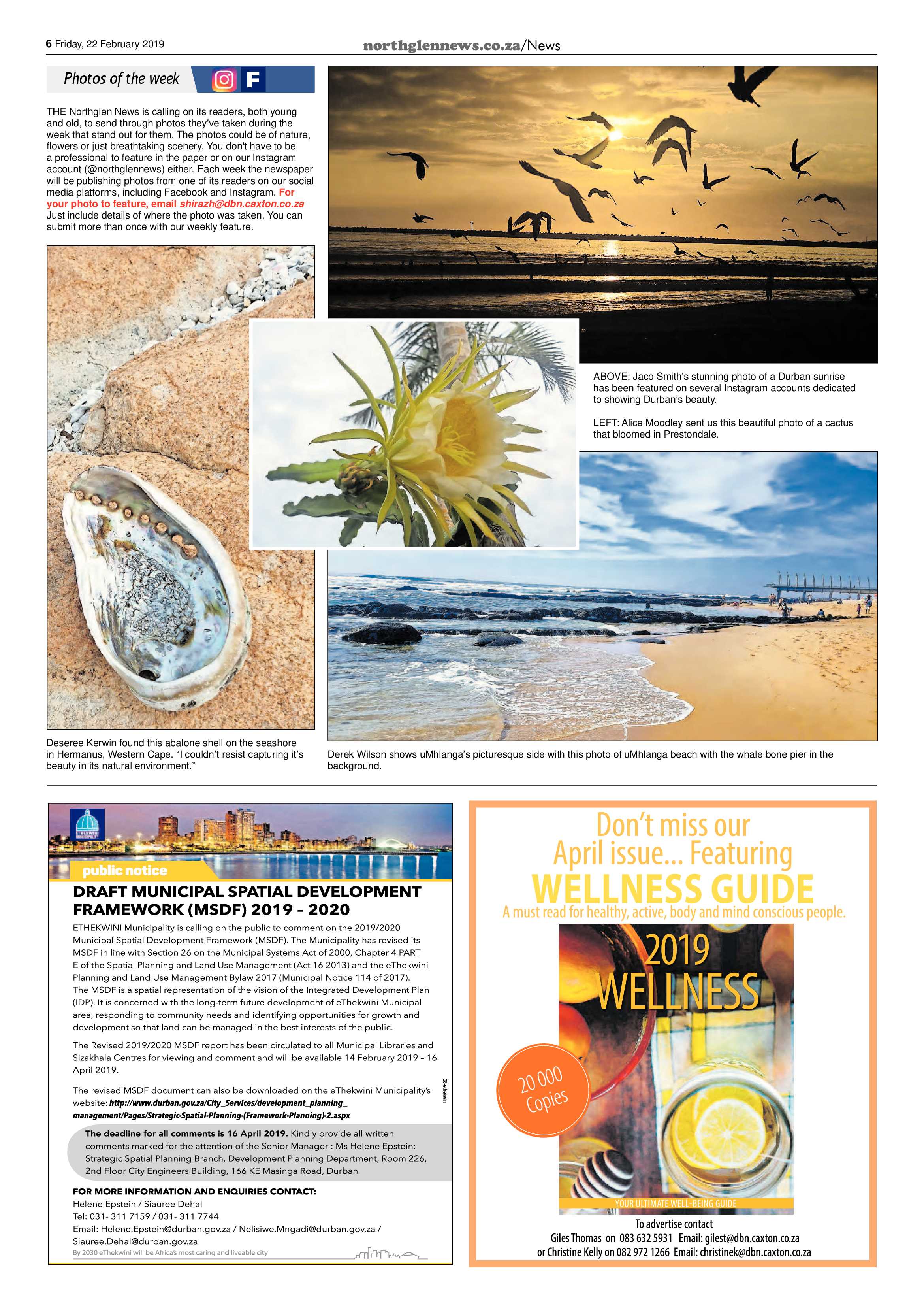 Northglen News 22 February 2019 page 6