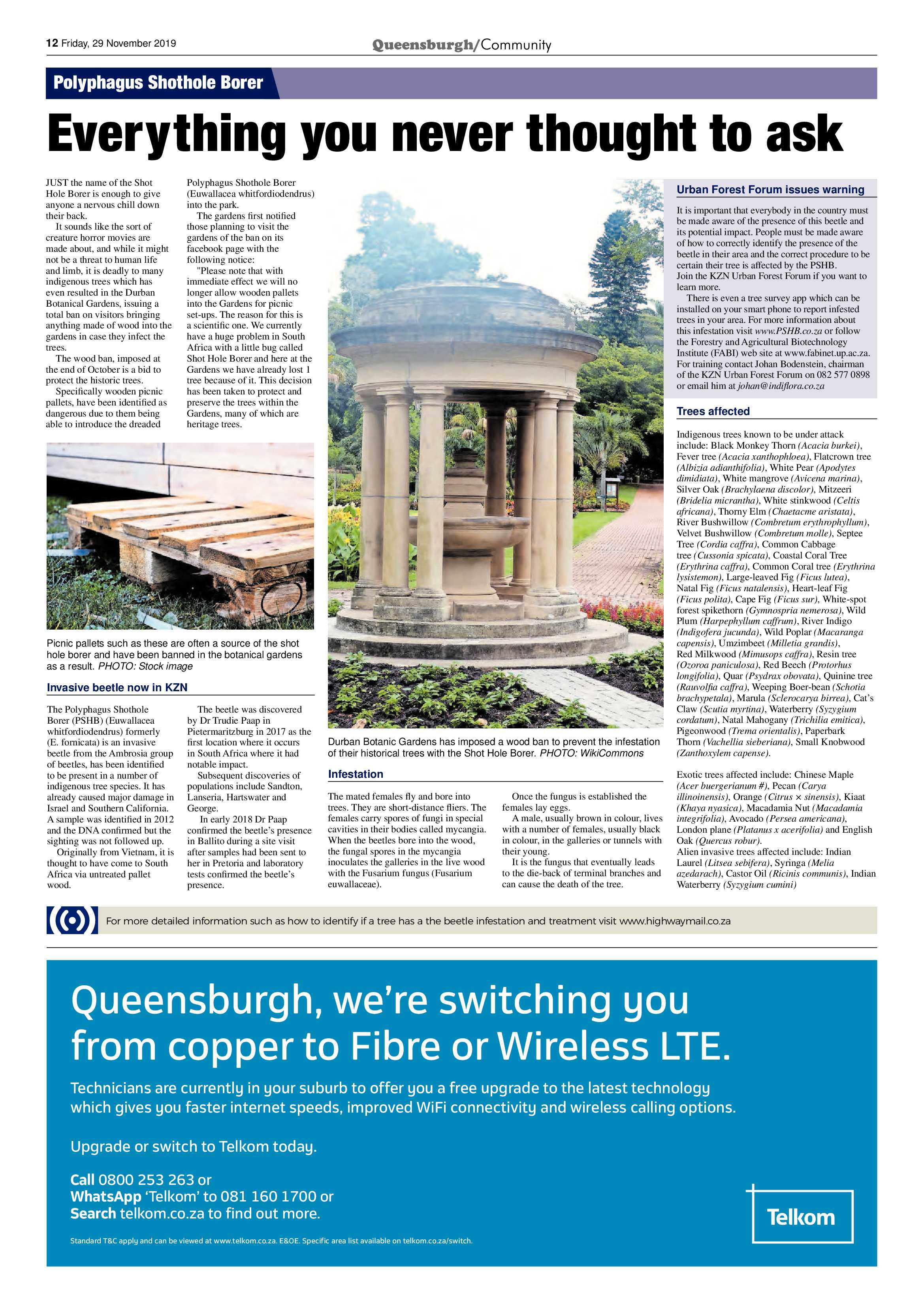 Queensburgh News 29 November 2019 page 12